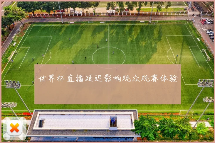 世界杯直播延迟影响观众观赛体验